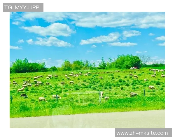 北马其顿与科索沃激战在即谁将赢得这场关键对决